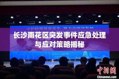 长沙雨花区突发事件应急处理与应对策略揭秘