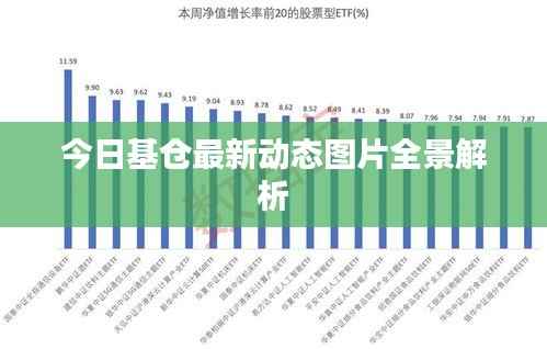 今日基仓最新动态图片全景解析