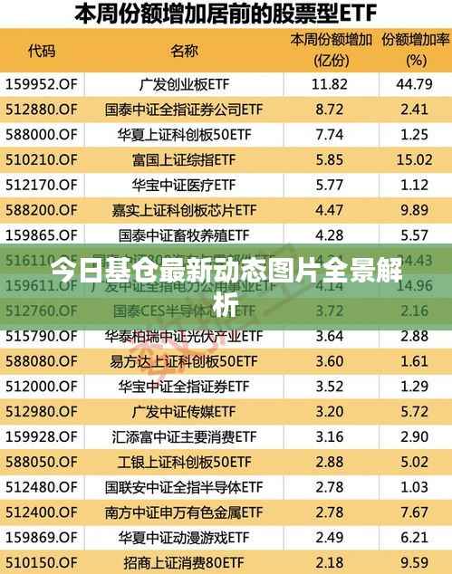 今日基仓最新动态图片全景解析