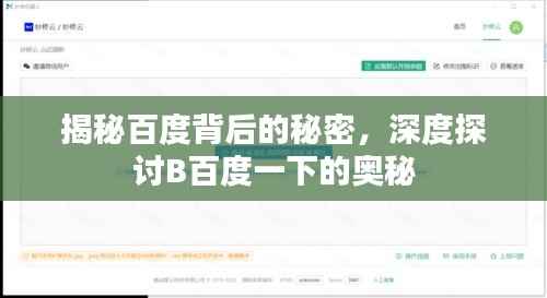 揭秘百度背后的秘密,深度探讨B百度一下的奥秘