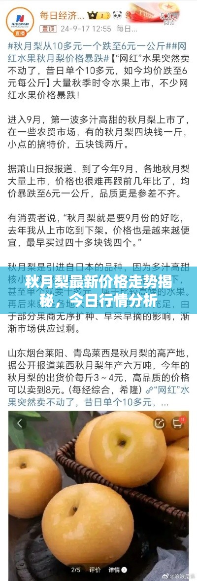 秋月梨最新价格走势揭秘,今日行情分析