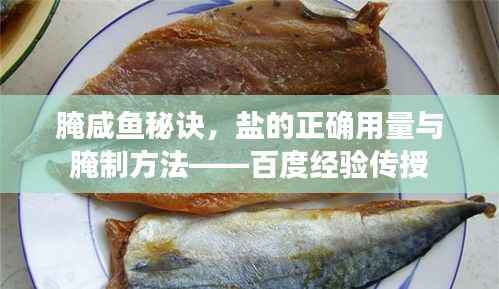 腌咸鱼秘诀,盐的正确用量与腌制方法——百度经验传授