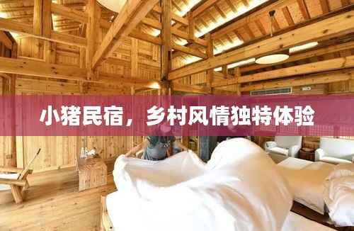 小猪民宿，乡村风情独特体验