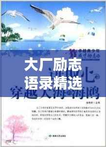 大厂励志语录精选，激发潜能，卓越人生之路