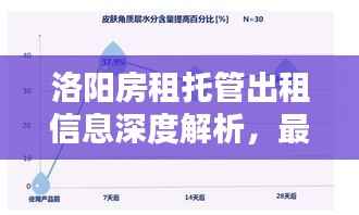 洛阳房租托管出租信息深度解析，最新动态一网打尽